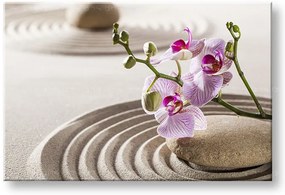 Obraz na plátne FENG SHUI_051-11 | rôzne rozmery