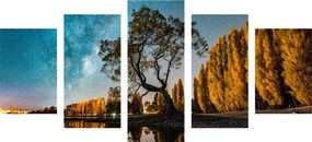 5-dielny obraz strom pod hviezdnou oblohou Varianta: 100x50