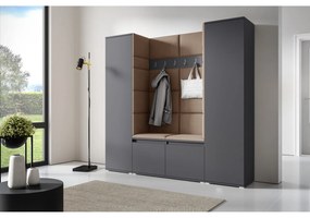 Predsieňová stena AMI 31 Bez zrkadla Grafit Béžová