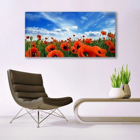 Obraz plexi Lúka maky kvety 120x60 cm