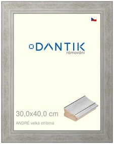 DANTIK rám na obraz 30x40 | ANDRÉ velká stříbrná (Plexi Čiré)