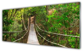 Obraz plexi Most džungľa tropický les 125x50 cm