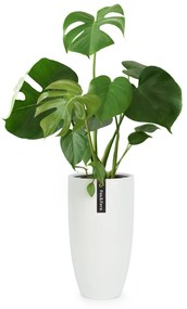 Fox & Fern Almere Kvetináč Fibre Stone ideálny pre rastliny, ručne vyrobený, kužeľovitý