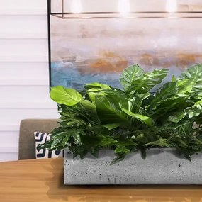 Flowerpot insert Las Palmas