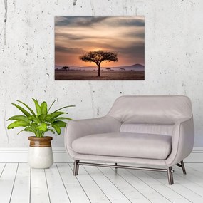 Sklenený obraz západu slnka v Tanzánii (70x50 cm)