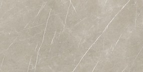 Dlažba Eternal Taupe Pulido 80x160 R