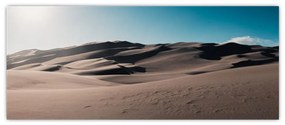 Obraz - Z púšte (120x50 cm)