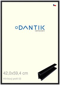 DANTIK rám na obraz 42x59,4 | ALU Černá matná (Plexi Čiré)
