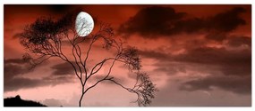 Obraz - Mesiac osvetľujúce noc (120x50 cm)