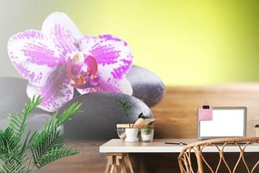 Samolepiaca fototapeta zen kamene s orchideou