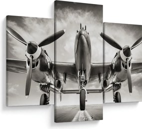 Obraz - Warbird (90x60 cm)