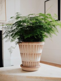 Kvetináč s podmiskou Pantheon 18 cm ružový