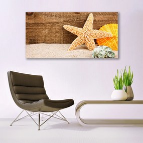 Obraz plexi Piesok hviezdica umenie 120x60 cm