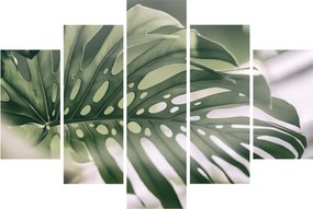 Obraz - List monštier (150x105 cm)