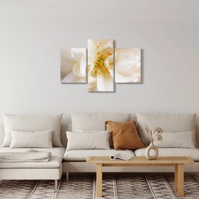 Obraz - Kvet (90x60 cm)