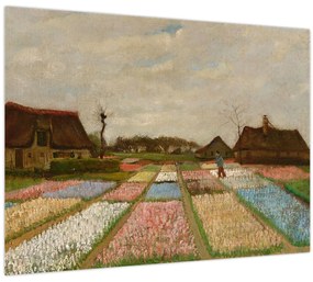 Obraz - Vincent van Gogh, Flower Beds in Holland, reprodukcia (70x50 cm)