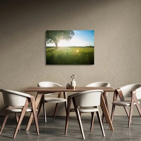 Sklenený obraz stromu v poli (70x50 cm)