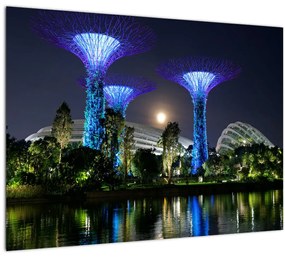 Sklenený obraz splnu v Singapurských záhradách (70x50 cm)
