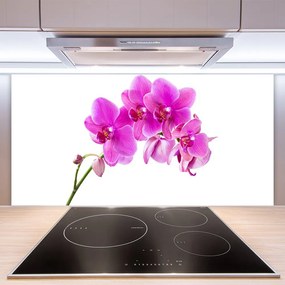 Sklenený obklad Do kuchyne Vstavač kvet orchidea 140x70 cm
