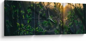 Obraz presvitajúceho slnka cez vetvičky stromov (s hodinami) (90x30 cm)