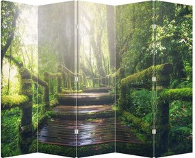Paraván - Drevené schody v lese (210x170 cm)