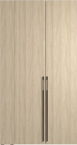 DVOJDVEROVÁ ŠATNÍKOVÁ SKRIŇA GLENN DUB BARISTA + REGÁL + ZRKADLO + LED 110 cm