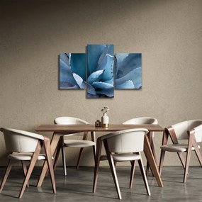 Obraz - Agáve (90x60 cm)