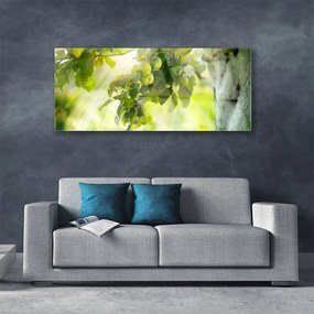 Obraz plexi Jablká vetva strom príroda 125x50 cm