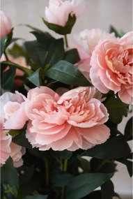 Umelá pivonka v krémovom kvetináči PEONY, výška 70 cm, ružová