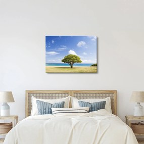 Obraz pláže so stromom (70x50 cm)