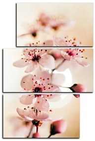 Obraz na plátne - Malé kvety na vetve - obdĺžnik 7173D (105x70 cm)