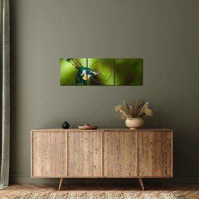 Obraz páva (s hodinami) (90x30 cm)