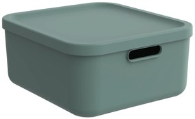 Rotho Úložný box, rovný s vekom, 20 l, matná zelená ALBU LIGHT, 40 x 36 x 18