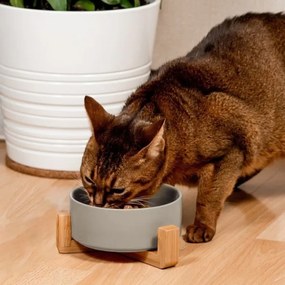 Keramická miska na bambusovém stojanu pro psy a kočky CATI šedá