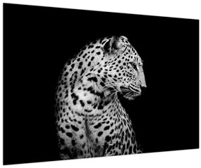 Obraz - Leopard (90x60 cm)