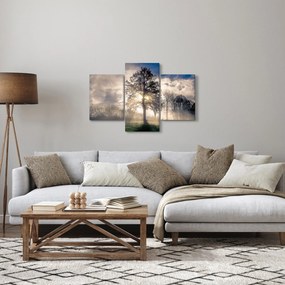 Obraz stromu v hmle (90x60 cm)