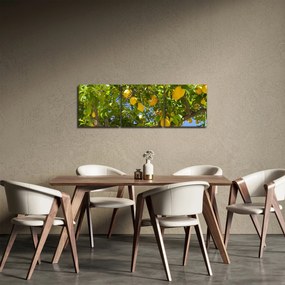 Obraz - Citrónovník (s hodinami) (90x30 cm)