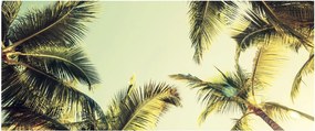 Obraz s kokosovými palmami (120x50 cm)