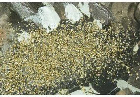 Obraz maľovaný originál 90x120 H1GD200349A