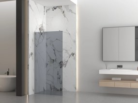 Erga Paris, sprchová zástena Walk-In 60x200 cm, 8mm šedé sklo, brúsená oceľ, ERG-V02-PARIS-060x200-GR-BS