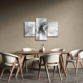 Obraz - Kvet, čiernobiela (90x60 cm)