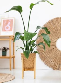 Stojan na kvety NEST