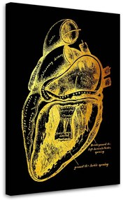 Gario Obraz na plátne Zlatá anatómia, funkcia srdca - Gab Fernando Rozmery: 40 x 60 cm