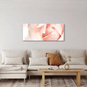 Obraz - Ruže (120x50 cm)