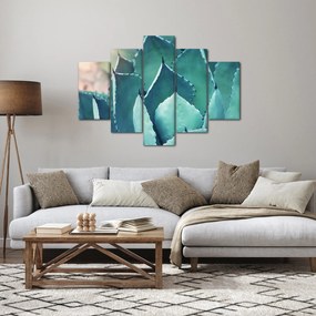 Obraz - Sukulent (150x105 cm)