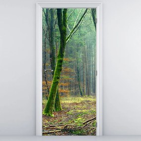 Fototapeta na dvere - Les (95x205cm)