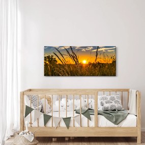 Obraz pole pri západe slnka (120x50 cm)
