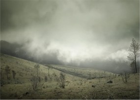 Obraz krajiny pred búrku (70x50 cm)