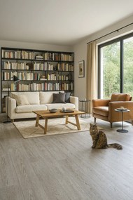 Beauflor, PVC podlaha - lino Ambient Havanna Oak 991M, na mieru, šíře 3m, šedá, bez podkladu, chodba / predsieň