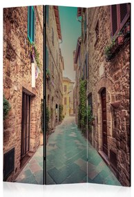 Artgeist Paraván - Magic Tuscany [Room Dividers]